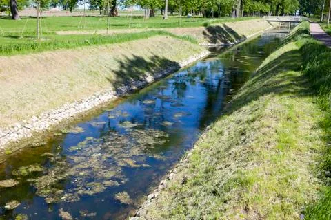 The stream in spring park Stock Photos
