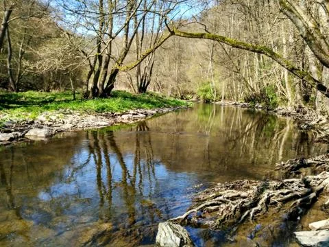 Stream in spring time Stock Photos