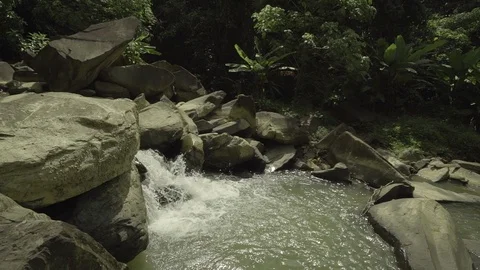Stream, spring from under the stones in the forest Stock Footage 129521208