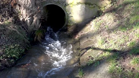 A stream of spring water from the forest flows out of the sewage system Stock Footage 230236017