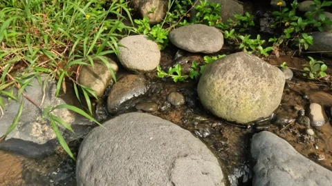 A stream of spring water in the rocky mountains overgrown with grass Stock Footage 320977834