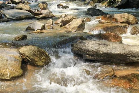 Stream with stone Stock Photos