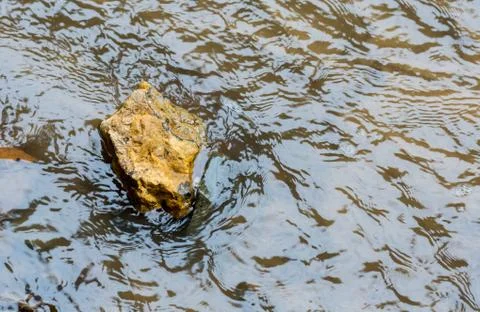 Stream stone river crossing ferry journey reserve close-up background autumn Stock Photos
