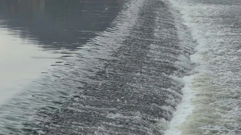 Stream Stood by Large River Stock Footage 82780083