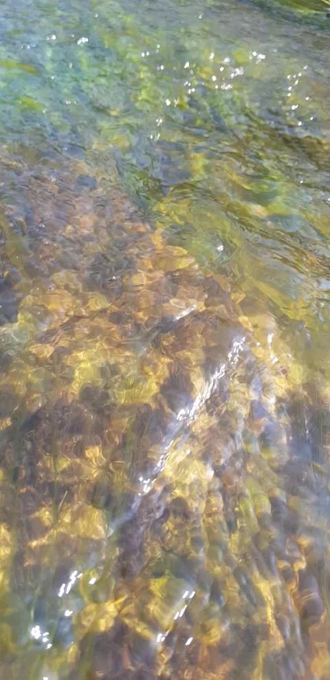 Stream on a stream algae on a stone Stock Footage 141181048