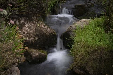 Stream, stream, long exposure, motion effect, Cot Valley Beach Porth Nanven, Stock Photos