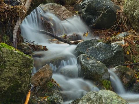 Stream of a stream within the forest Stock Photos
