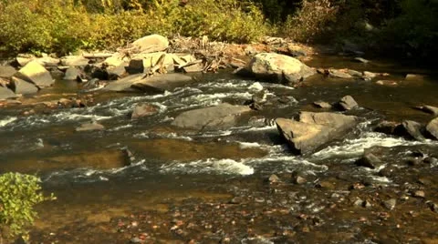 Stream in Summer (1080-24FPS).mp4 Stock Footage 10976426
