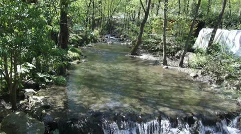 Stream in the summer park Stock Footage 22752594