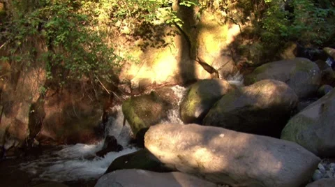 A Stream at sunset Stock Footage 8660027