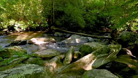 Stream at Sunset Stock Footage 137866388