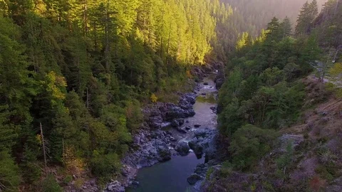 Stream at Sunset in the Redwood Forest Stock Footage 73911221