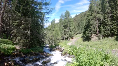 Stream in the swiss Alps Видео 158675523