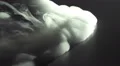 The stream of thick smoke on the background of dark surface. Slow motion capture 4k or 4k+ Resolution