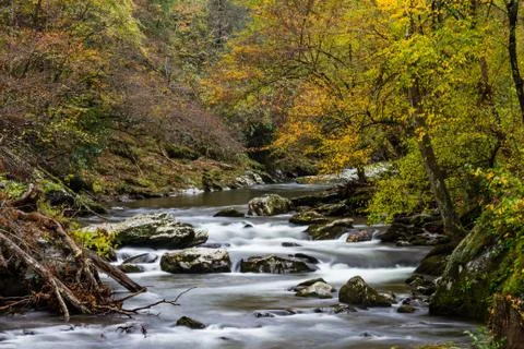 Stream through a fall landscape at foliage peak Stock Photos