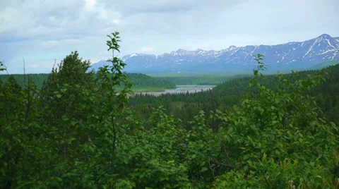 Stream through Forest, Mountain Bachground Stock Footage 37378647