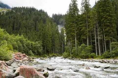 Stream through forest Stock Photos