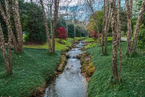 Stream through the park Stock Photos