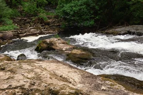 Stream through the Rocks in the Forest in Lacamas Stock Photos