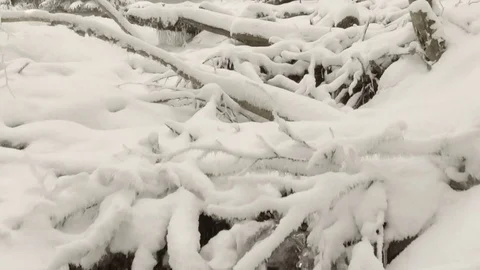 Stream through snow Stock Footage 69774329