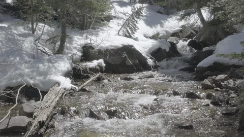 Stream Through Snow Stock Footage 85572441