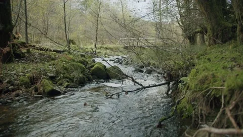 Stream through valley Stock Footage 203902422