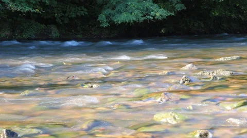 Stream Time-Lapse Stock Footage 93782752