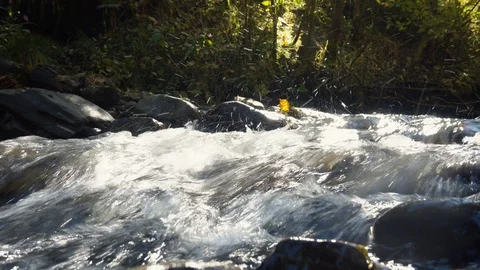 Stream transparent water in rapid river from mountain waterfall close up. Water  Stock Footage 98377826