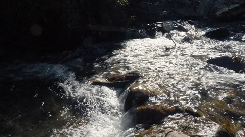 Stream transparent water in rapid river from mountain waterfall close up. Water  Video stock 98377892