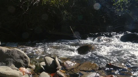 Stream transparent water in rapid river from mountain waterfall close up. Water  Stock Footage 98377907