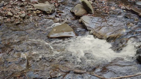 Stream transparent water in rapid river from mountain waterfall close up. Water  Stock Footage 98378039
