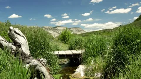 Stream Under Bridge Stock Footage 18156382