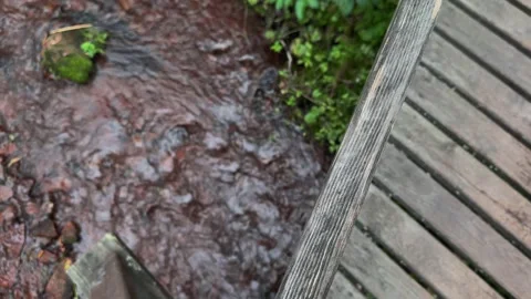 Stream under the bridge Stock Footage 283479262