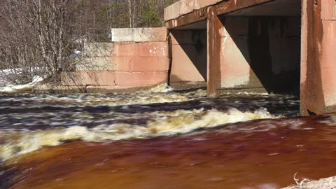Stream under the bridge. River Stock Footage 194050257