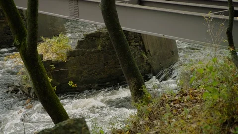 Stream under bridge slow motion 4K Stock Footage 109425856