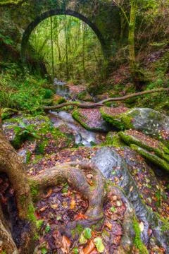 Stream under an old stone bridge in the Fragas do Eume Stock Photos