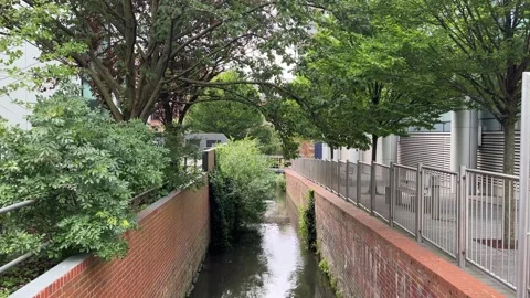 Stream in an urban area Stock Footage 310493611