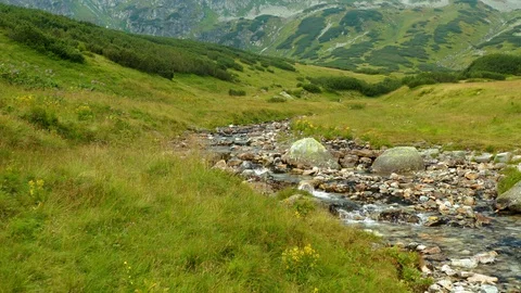 Stream in valley of five lakes in Tatra mountains Stock Footage 114884626