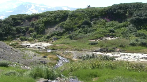Stream in the Valley of Mutnovsky volcano. Stock Footage 52487447