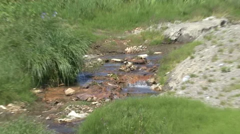 Stream in the Valley of Mutnovsky volcano. Stock Footage 52488041
