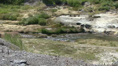Stream in the Valley of Mutnovsky volcano. Stock Footage 52488436