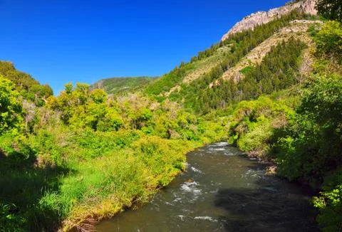 Stream in a valley in utah Foto stock