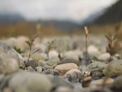 Stream view Vancouver, Canada Video stock 70684621