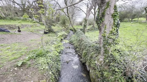 Stream in the village Stock Footage 307966518