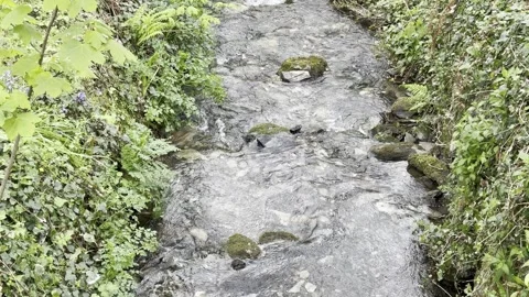 Stream in the village Stock Footage 307966536