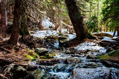 Stream on the Vranica Stock Photos