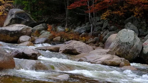The stream was running in the valley Stock Footage 170761275