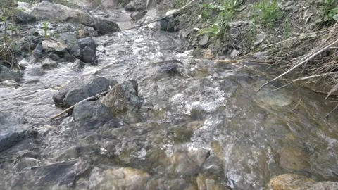 Stream water 4K video Stock Footage 241361944
