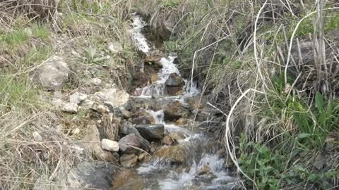 Stream water 4K video Stock Footage 241362003