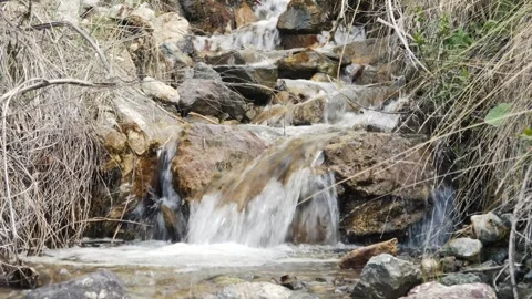 Stream water 4K video Stock Footage 241362025